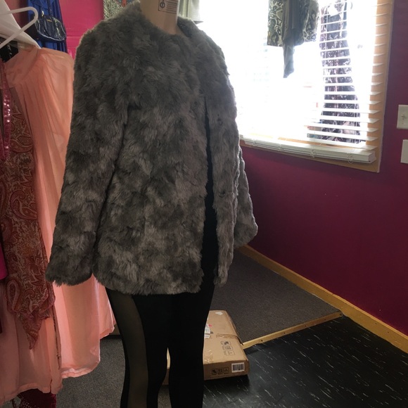 Jacket - Picture 4 of 7